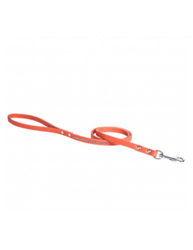 Laisse pour chien éclat orange de Bobby.