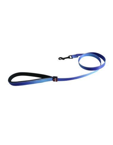 Laisse reflex bleue