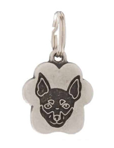 Une jolie médaille Cloud pour chien "Pinscher" de Petitamis.