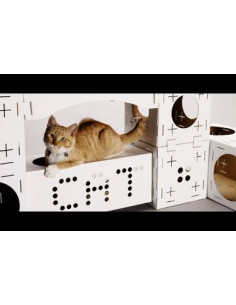 Une maison de jeu en block à monter pour votre chat.