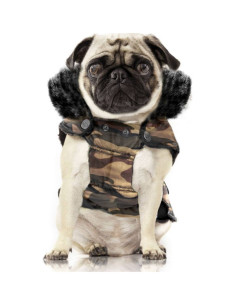 Parka pour chien motifs militaires "Arthus" de Milk&Pepper.

Une taille disponible.