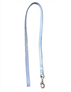 Laisse pour chine bleu ciel.