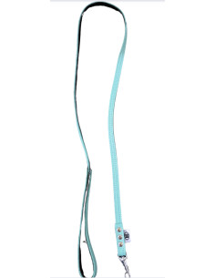 Laisse turquoise chien