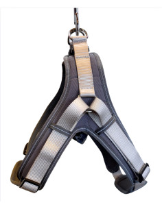 Harnais Scotchlite Reflective de la marque Hunter.