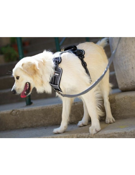 harnais canicross style I dog