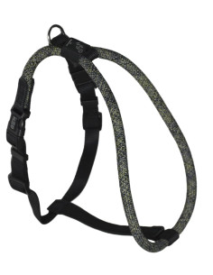 Harnais ergonomique pour chien S-M - High5dogs