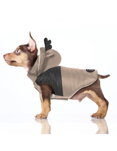 Chien portant une doudoune blitzen marron.