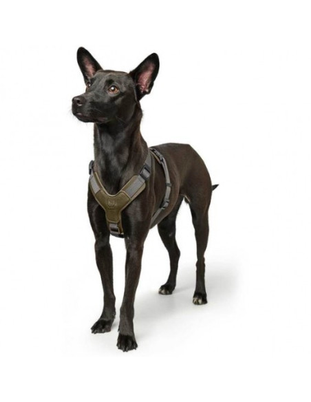 Harnais pour chien "Aalborg Mixed" olive de Hunter.