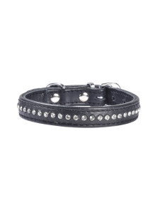 Collier éclat pour chien noir de Bobby.
